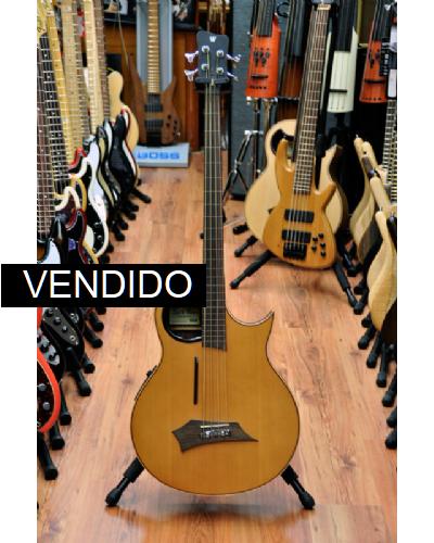 Warwick Alien Fretless con líneas